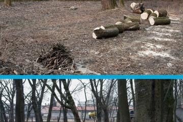 Park porovnanie pred a po čistení