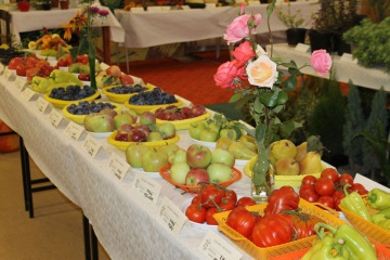 Výstava ovocia, zeleniny a kvetov