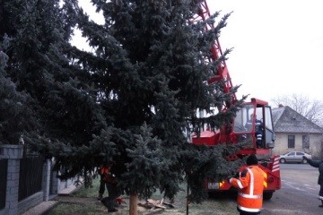 Vianočný stromček sa už vyníma aj v MČ Milhostov