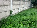 Fotogaléria