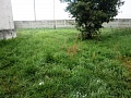 Fotogaléria