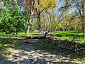 Fotogaléria