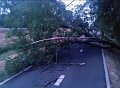 Fotogaléria