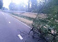 Fotogaléria