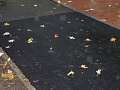 Fotogaléria