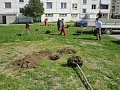 Fotogaléria