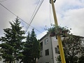 Fotogaléria