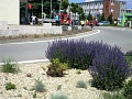 Fotogaléria