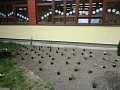 Fotogaléria