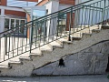 Fotogaléria