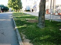 Fotogaléria