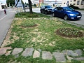Fotogaléria