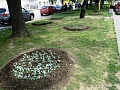 Fotogaléria