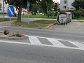 Fotogaléria