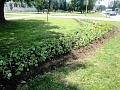 Fotogaléria