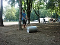 Fotogaléria