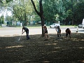 Fotogaléria