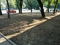 Fotogaléria
