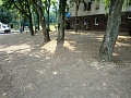 Fotogaléria