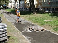 Fotogaléria