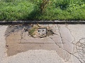 Fotogaléria