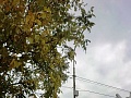 Fotogaléria