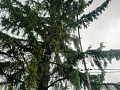Fotogaléria