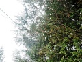 Fotogaléria