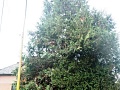 Fotogaléria