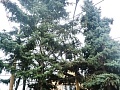 Fotogaléria