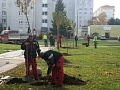 Fotogaléria