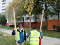 Fotogaléria