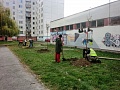 Fotogaléria