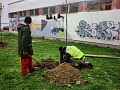 Fotogaléria