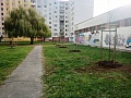 Fotogaléria
