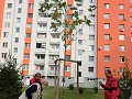 Fotogaléria
