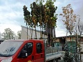Fotogaléria