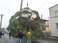 Fotogaléria