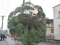 Fotogaléria