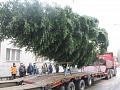 Fotogaléria