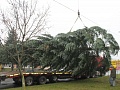 Fotogaléria