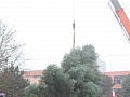 Fotogaléria