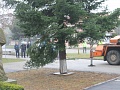 Fotogaléria