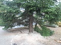 Fotogaléria