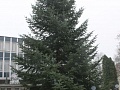 Fotogaléria