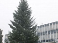 Fotogaléria