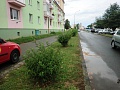 Fotogaléria