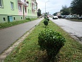 Fotogaléria