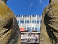 Fotogaléria