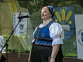 Fotogaléria